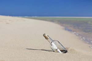 Message In A Bottle Stampe: Message in a bottle at the beach of Risco del Paso