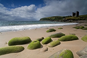 European Waterfront Stampe: Minnard Beach
