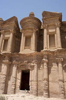 Petra Monastery Stampe: The Monastery and donkey