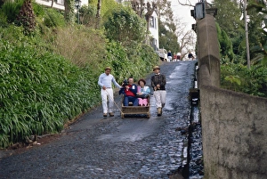 Contemporary Travel Destination Stampe: Monte, Madeira