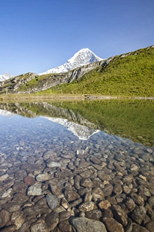 Swiss Alps Scenic View Stampe: Mount Eiger reflected in a creek