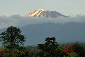Monte Kilimangaro, Sito del Patrimonio Mondiale della UNESCO, Tanzania e lAfrica Orientale