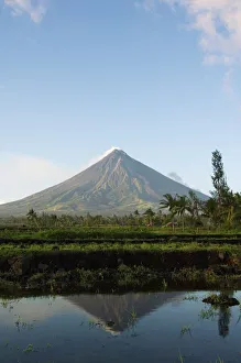 Stampe di Monte Mayo , 2462 m , conico vulcanico quasi perfetto con nuvola di fumo riflesso nel campo di riso , Provincia del Bicol Filippine Stampe: Monti del Fuego (Nota: Mont Mayon)