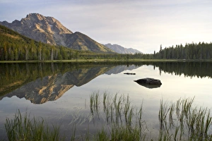 Rural Mountain Landscape Stampe: Mount Moran reflected in String Lake