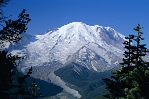 Cascade Mountains Landscape Stampe: Mount Rainier