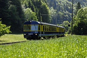 Rural Switzerland Landscape Stampe: Mountain train