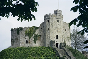 Contemporary Architecture UK Stampe: Norman keep