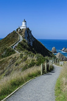 Nugget Point Lighthouse Stampe: Nugget Point Lighthouse, the Catlins, South Island, New Zealand, Pacific