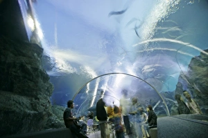 Bangkok Travel Destinations Stampe: Ocean World