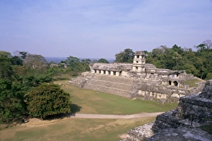 Palenque Mexico Stampe: The Palace