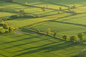 Welsh Countryside Scenes Stampe: Patchwork fields in the Brecon Beacons National Park, Powys, Wales, United Kingdom