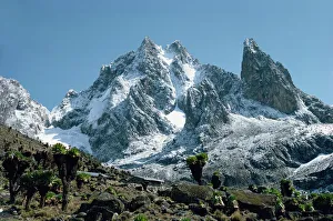 Stampe di Le cime del Monte Kenia viste dalla Valle di Teleki con la stazione dei rangers all'avantreno della valle e il paese è situato a Kenia nell'Africa orientale Immagini Correlate Stampe: I sommità del Monte