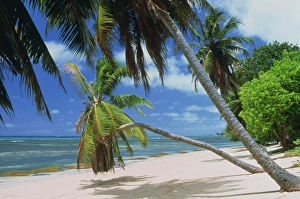 Indian Ocean Beaches Africa Stampe: Praslin beach