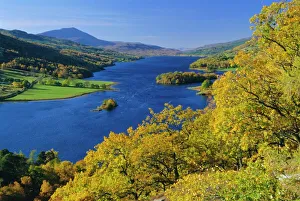 European Countryside Stampe: Queens View