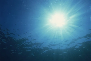 Contemporary Travel Images Stampe: Rays of sunlight through the surface from underwater