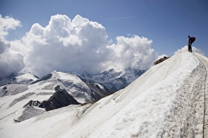 Europe Snow Capped Mountains Stampe: Reaching the summit of Mount Cevedale, 3769 m, Ortler Alps, South Tyrol, Italy, Europe