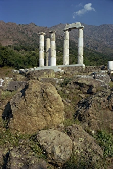 Doric Order Architecture Stampe: Remaining Doric columns