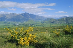 The Remarkables Mountain Range Stampe: The Remarkables