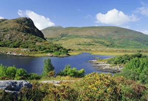 Ring Of Kerry Stampe: Ring of Kerry