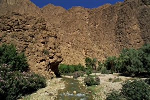 Contemporary Landscape Photography Stampe: River below rock cliffs