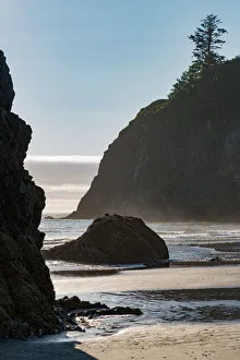 Olympic National Park Sunset Stampe: Ruby Beach in the Olympic National Park