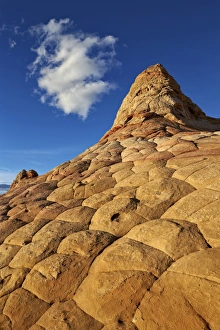 Arizona Sandstone Landscape Stampe: Sandstone hill with brain texture and a cloud