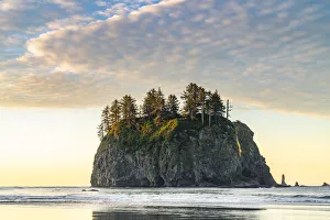 Sea Stack Photography Stampe: Sea stack at dawn at Second Beach, La Push, Clallam county, Washington State