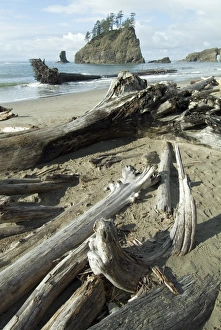 World Heritage Site USA Stampe: Second Beach