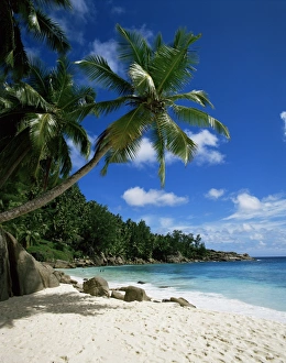 Seychelles Travel Photography Stampe: Seychelles