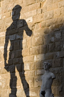 Famous Statues In Europe Stampe: Shadow of statue of David