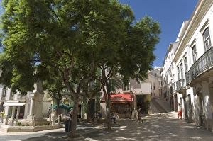 Portugal Street Scene Stampe: A shady square