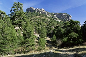 Andalucia Travel Destination Stampe: Sierra de Cazorla