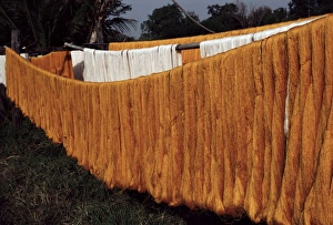 Thailand Travel Images Stampe: Silk drying