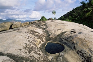 Mahe Island Landscape Stampe: Small pool on rock