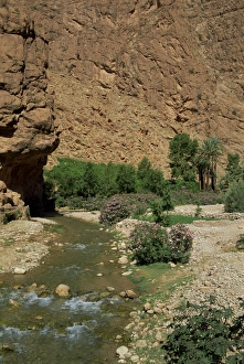 Travel Photography In Morocco Stampe: Small river below rock cliffs