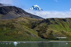 Stampe di La montagna cinta di neve che si erge dalle nuvole a Grytviken, Sud della Giorgia del Sud. Regioni polari Immagini datate 2016 febbraio: La montagna coperta di neve che si erge attraverso le nuvole