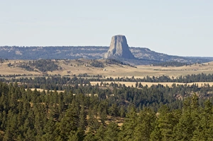 Devils Tower National Monument Stampe: SP021925
