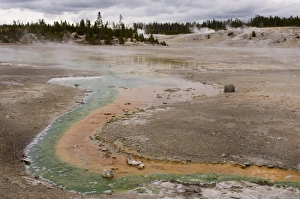 Norris Geyser Basin Stampe: SP022093