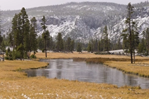 Yellowstone Scenic Views Stampe: SP022149