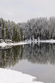 American Wilderness Landscape Stampe: SP022320