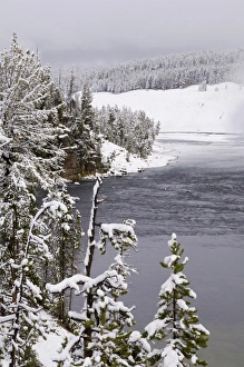 Yellowstone National Park Scenic Views Stampe: SP022331