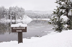 Cold Climate Landscapes Stampe: SP022362
