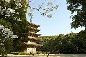 Honshu Island Scenery Stampe: Spring cherry blossom