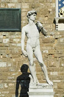Firenze Stampe: La colonna di Davide
