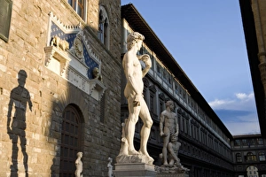Famous Statues In Europe Stampe: Statue of David with shadow