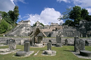 Central American Archaeology Stampe: Stelae in foreground