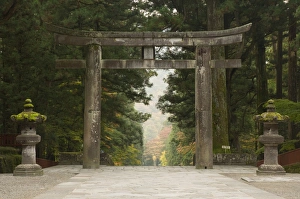 Japanese Shrines And Temples Stampe: Stone Torii
