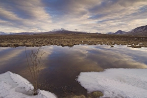 Iceland Sunset Stampe: Sunset in late May
