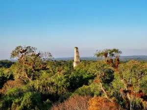 Ancient Maya Civilization Stampe: Sunset view of Temple III from elevated position, showcasing Tikal in Peten, Guatemala
