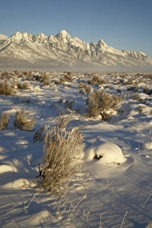 Wyoming Winter Landscapes Stampe: Teton range in winter